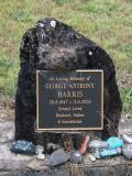 image of grave number 879369